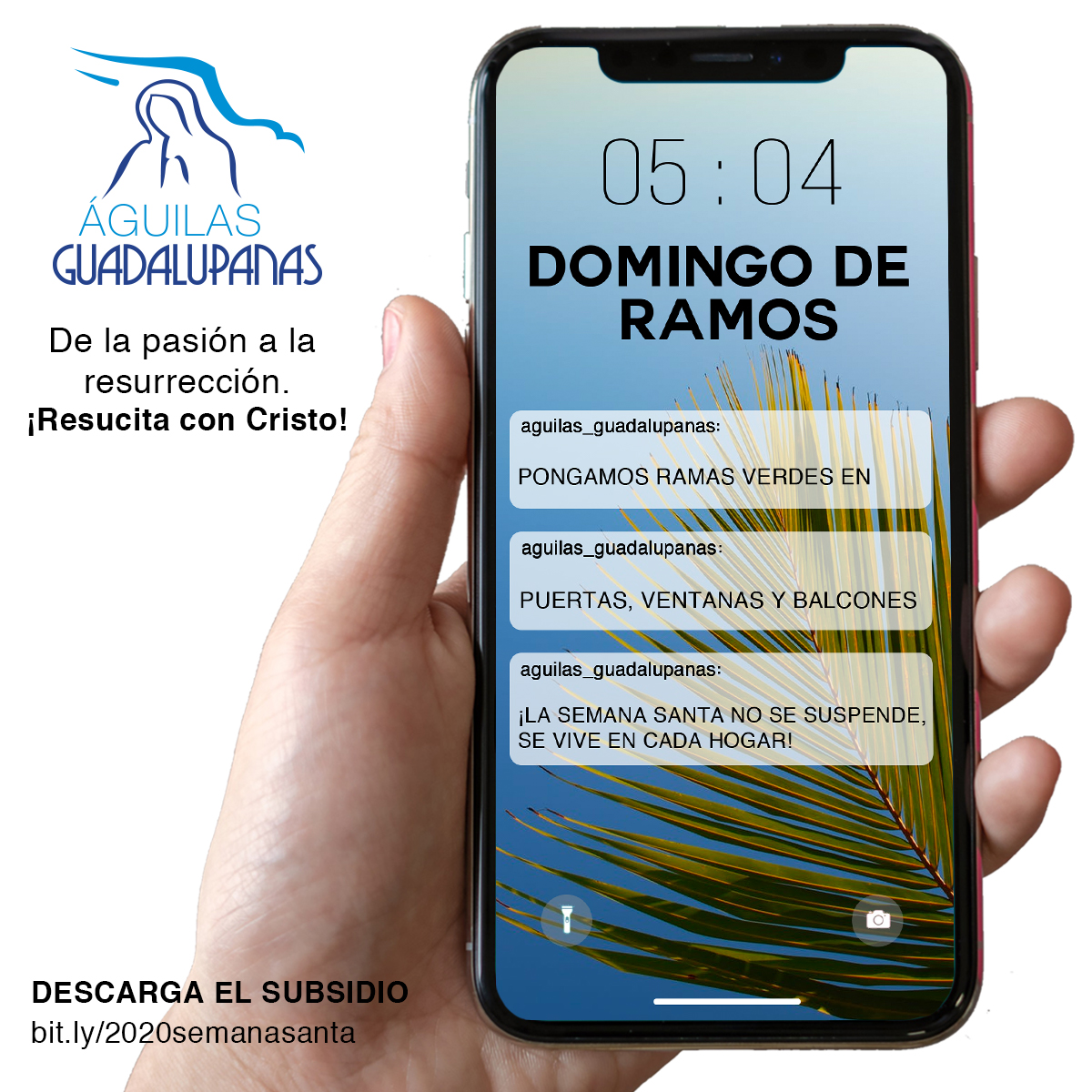 De la pasión a la resureccion domingo de ramos